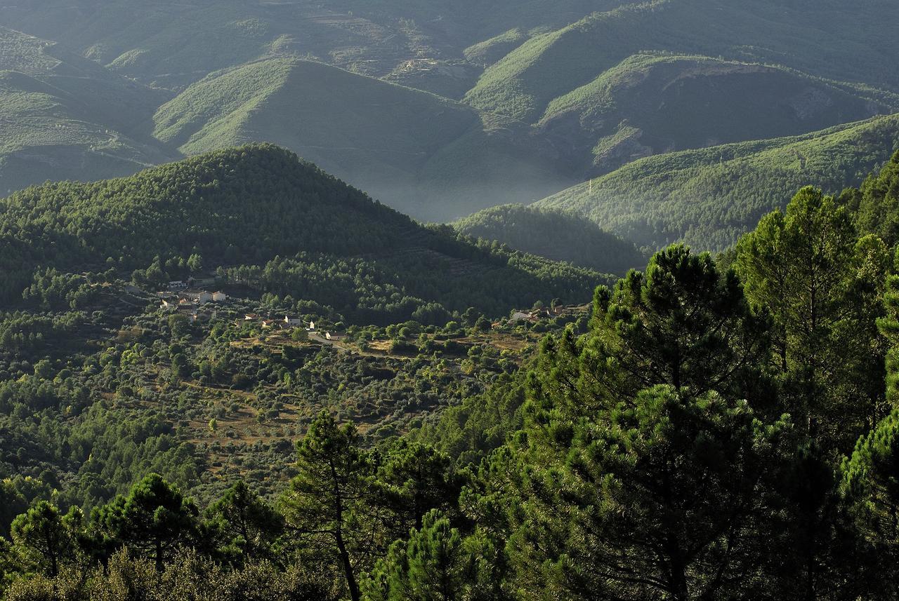 Casas Rurales Tio Frasquito Y Cleto Йесте Экстерьер фото